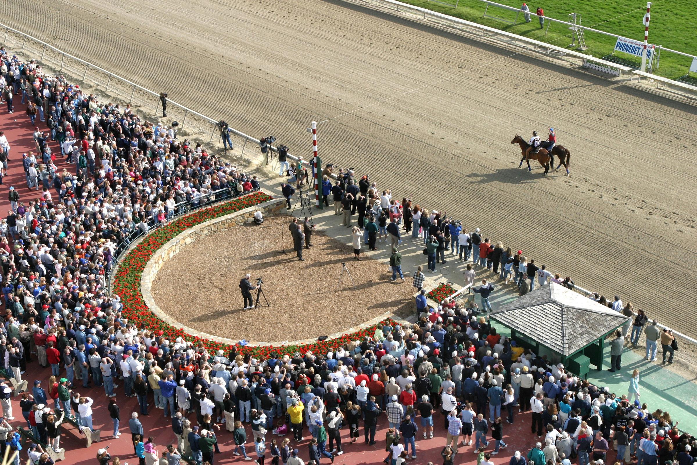 Smarty Jones, John Servis, Someday Farm, Stewart Elliott, Philadelphia Park, 2004 Kentucky Derby, 2004 Triple Crown, Bill Denver, EQUI-PHOTO 